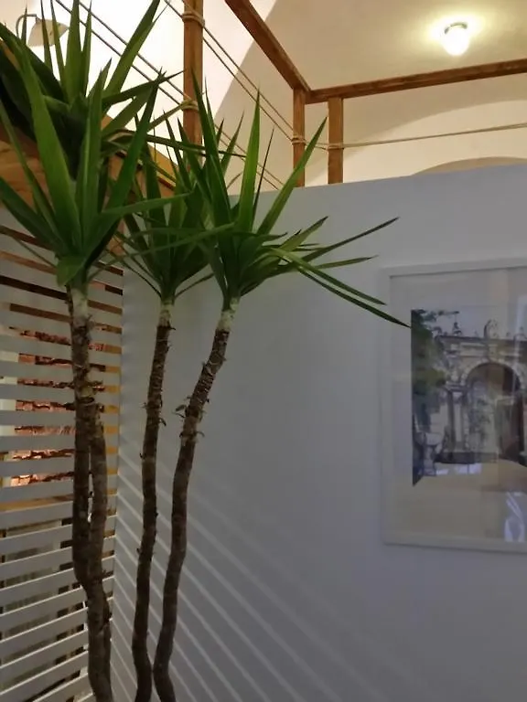 La Salita Di San Camillo Apartment Catania